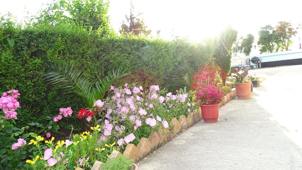 Hotel Alba-Gert โอริคูม ภายนอก รูปภาพ